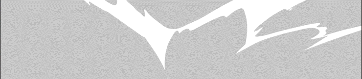 banner blog togel  1